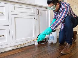 Best Pest Exclusion Services  in Rossville, IN